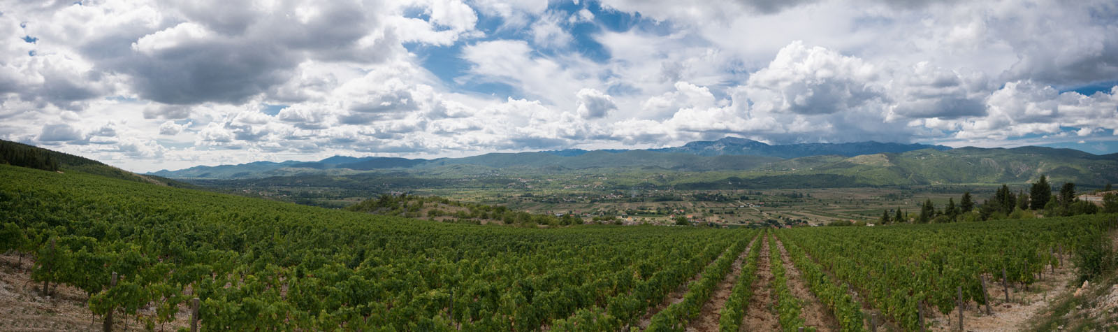 IMOTSKI2 PANORAMA